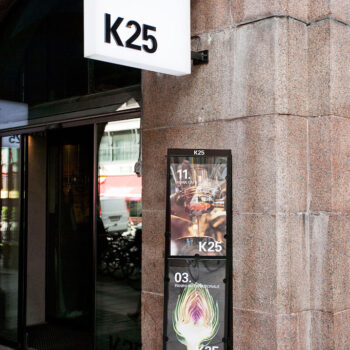 k25a_8216